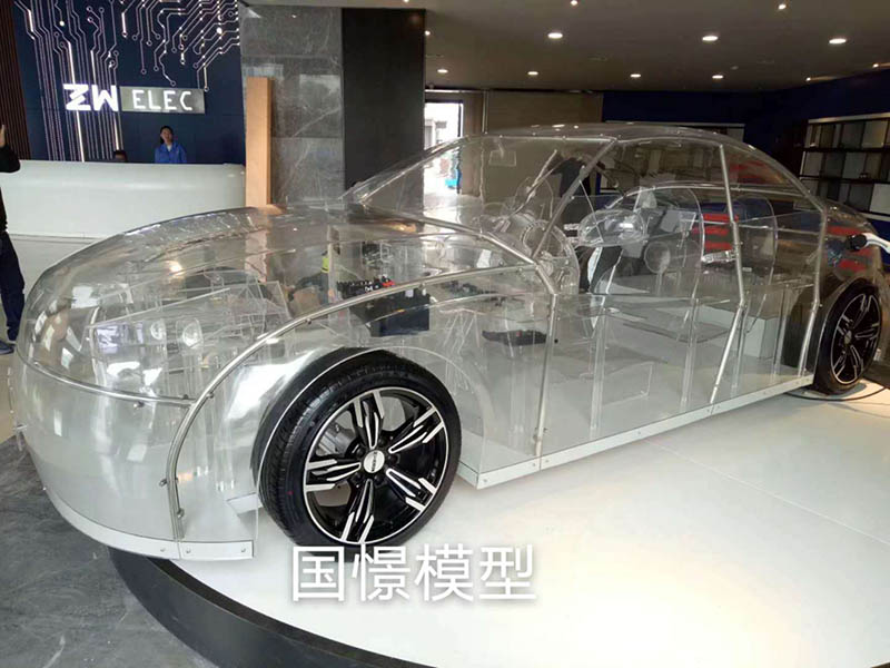 临朐县透明车模型